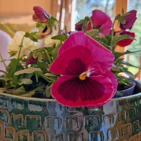 Elulille Maja Mere Laeheduses Lahemaa Ruepes Andineeme