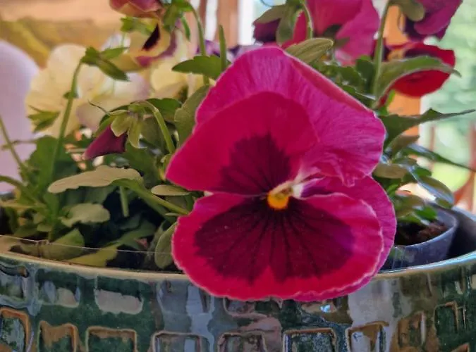 Elulille Maja Mere Laeheduses Lahemaa Ruepes Andineeme